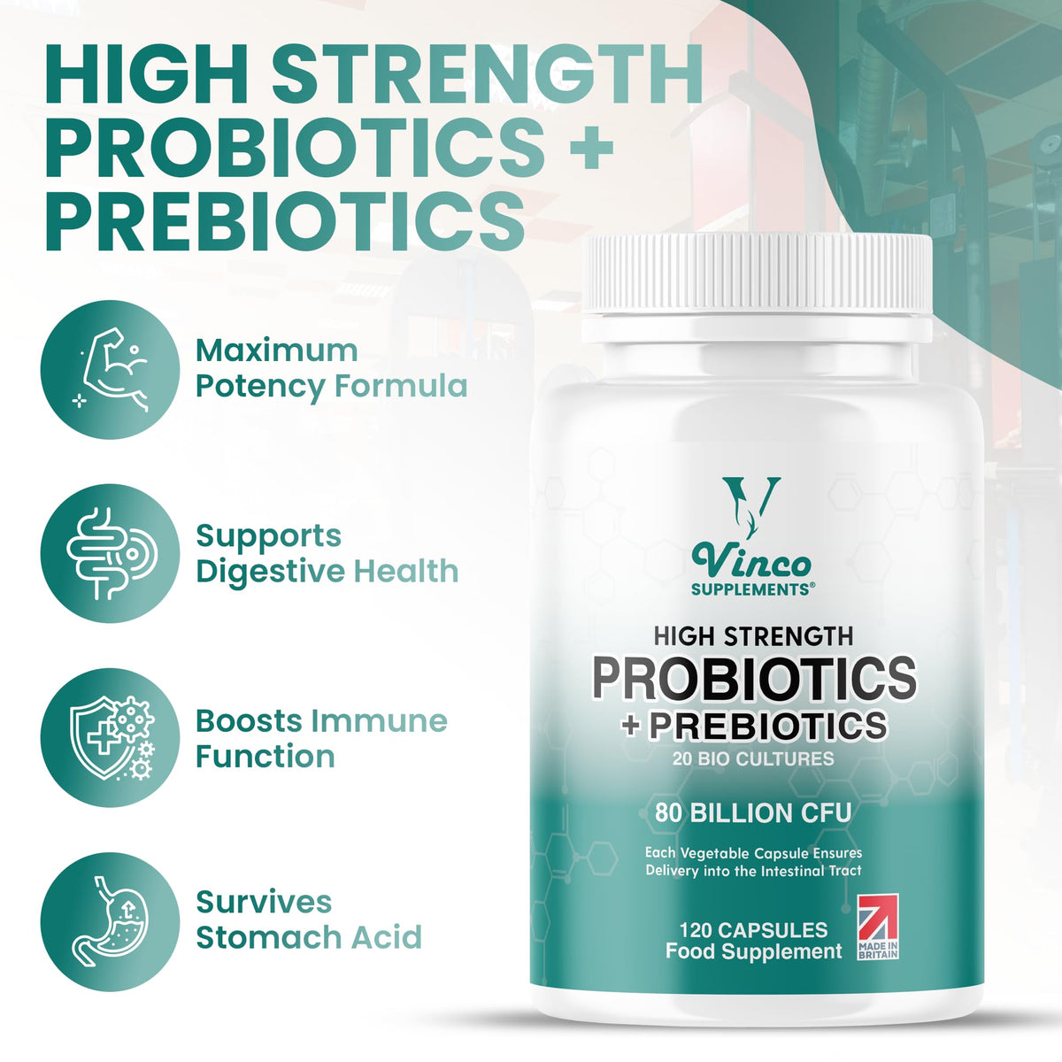 Vinco 80 Billion CFU Probiotics - 20 Strains with Prebiotics - 120 Vegan Capsules