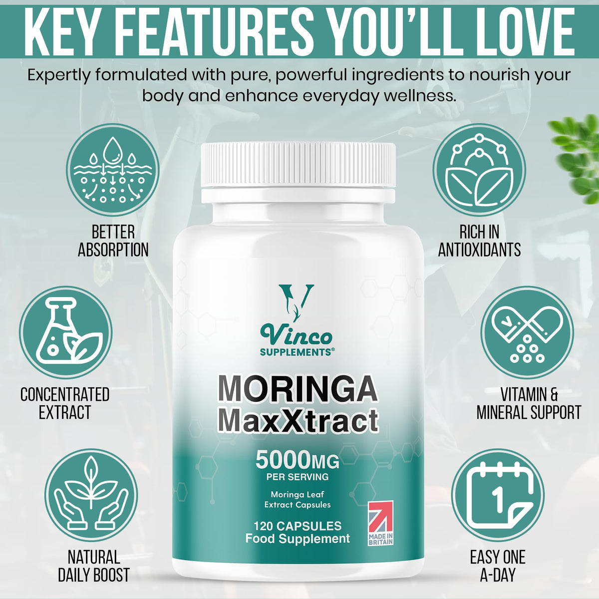 Vinco Moringa Leaf Capsules 5000mg