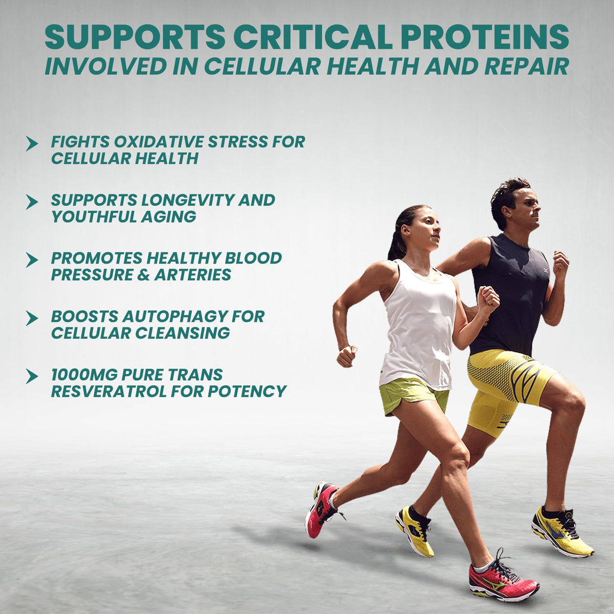 Vinco Resveratrol 1000mg