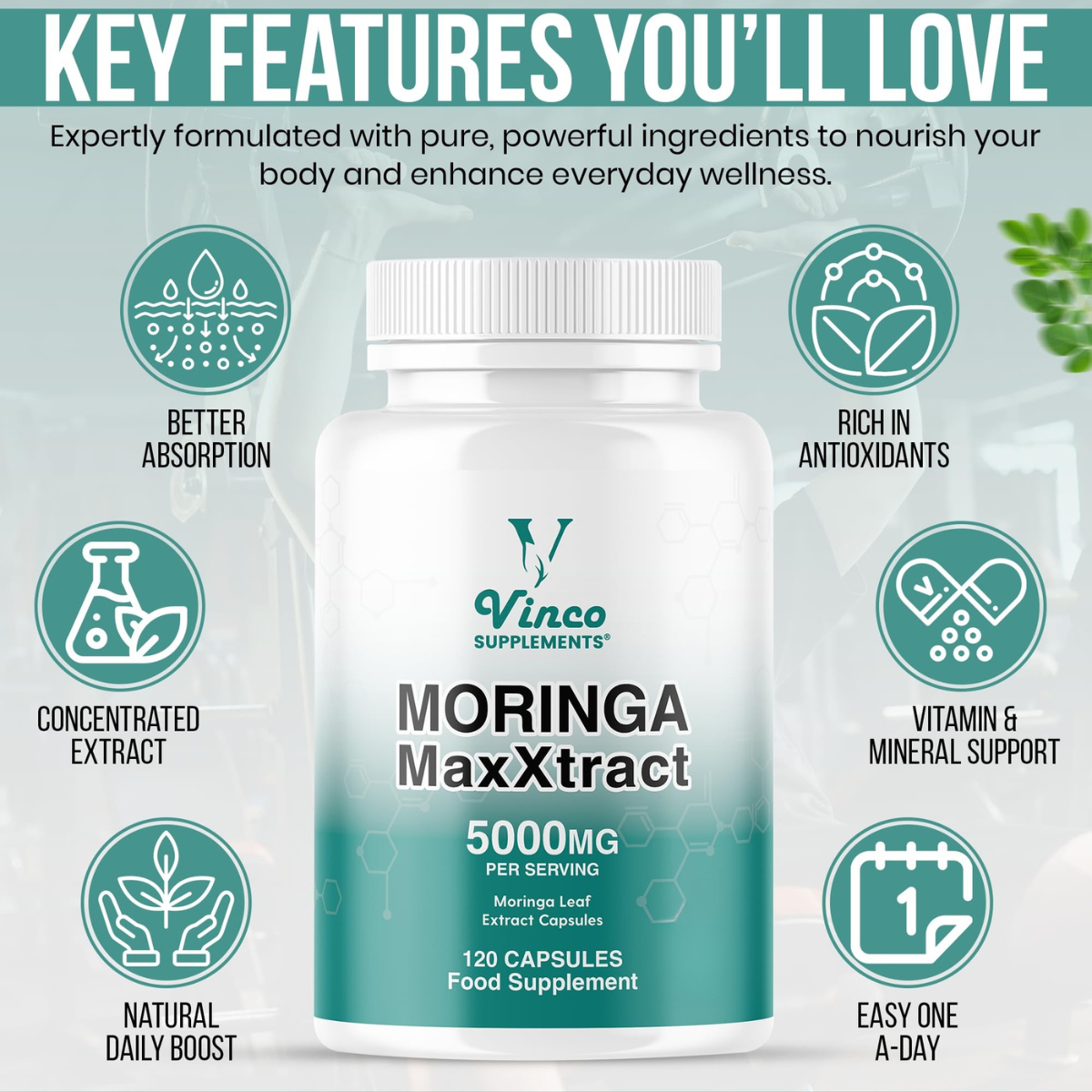 Vinco_Moringa_Leaf_Capsules_5000mg_1